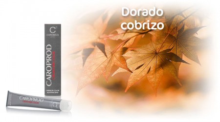 Caroprod Tintura do cabelo. Dourado Acobreado